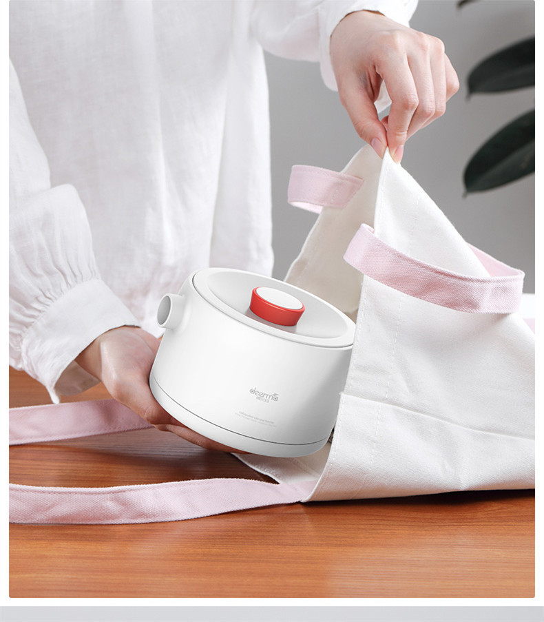 Deerma Portable Electric Kettl - огляд і ціна Women Bags Under 500